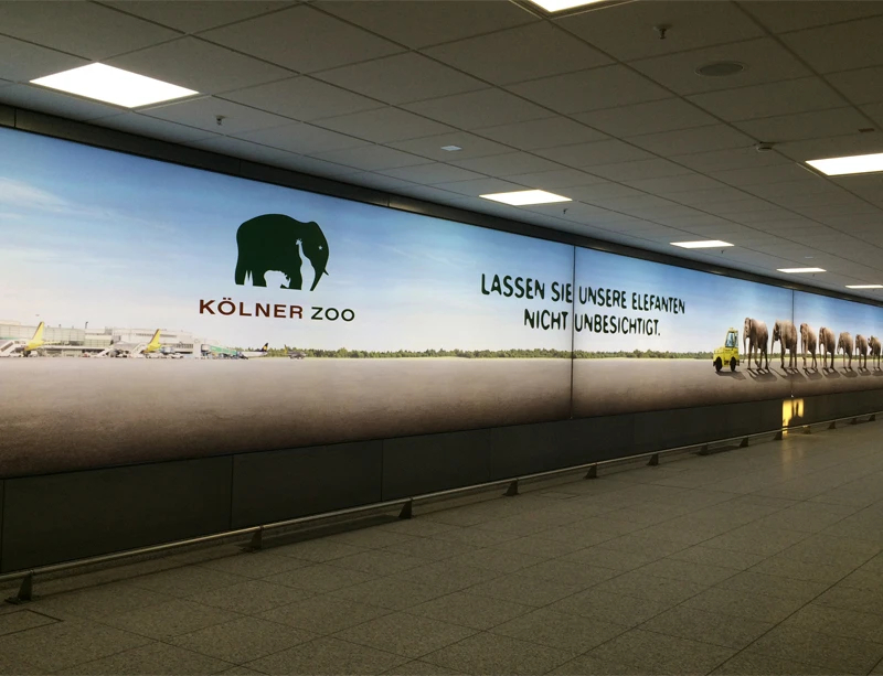Single-Sided vs. Double-Sided SEG Displays: Which Is Better?